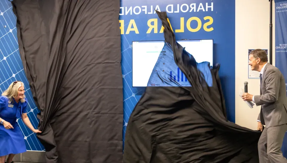 Two people tear down a black curtain to unveil a mural